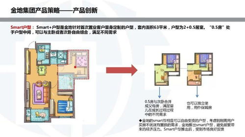 金地集團(tuán)投資開發(fā)模式研究 以常德軟件開發(fā)為例